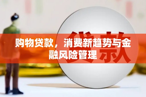 兰州购物贷款，消费新趋势与金融风险管理