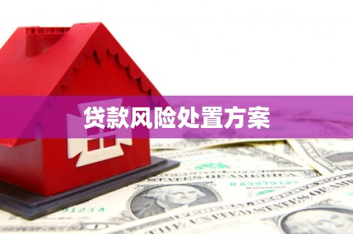 兰州贷款风险处置方案