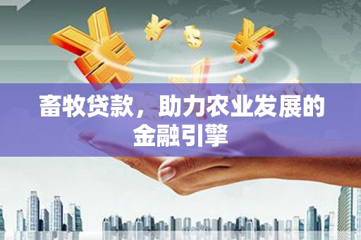 兰州畜牧贷款，助力农业发展的金融引擎