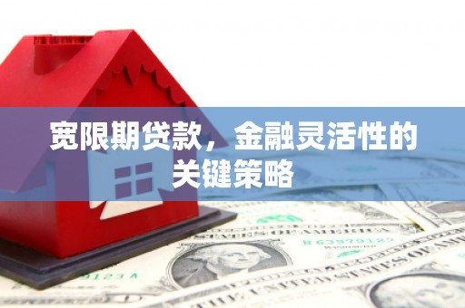 兰州宽限期贷款，金融灵活性的关键策略