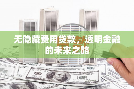 兰州无隐藏费用贷款，透明金融的未来之路