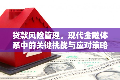 兰州贷款风险管理，现代金融体系中的关键挑战与应对策略