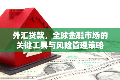 兰州外汇贷款，全球金融市场的关键工具与风险管理策略