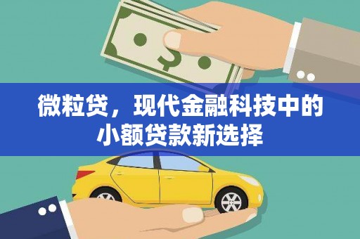 兰州微粒贷，现代金融科技中的小额贷款新选择