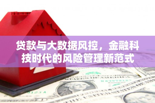 兰州贷款与大数据风控，金融科技时代的风险管理新范式