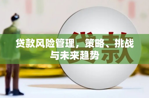 兰州贷款风险管理，策略、挑战与未来趋势