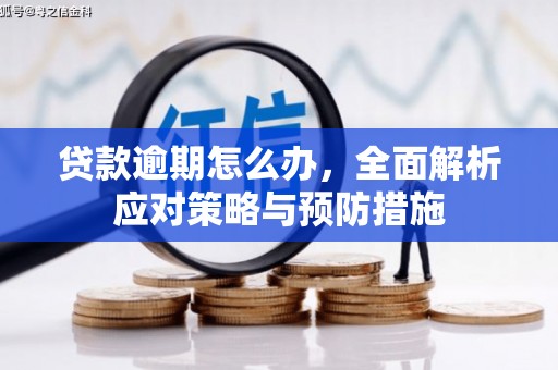 兰州贷款逾期怎么办，全面解析应对策略与预防措施