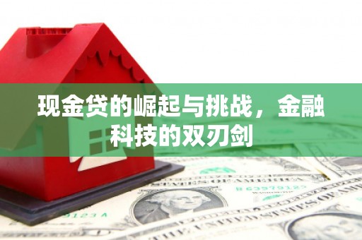 兰州现金贷的崛起与挑战，金融科技的双刃剑