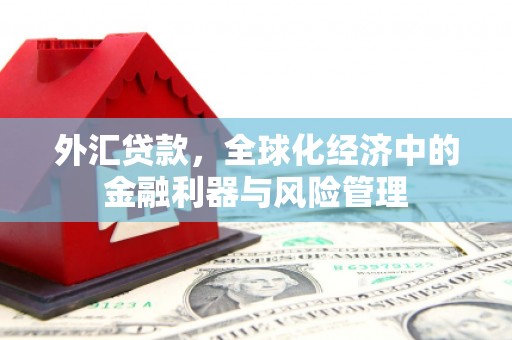 兰州外汇贷款，全球化经济中的金融利器与风险管理