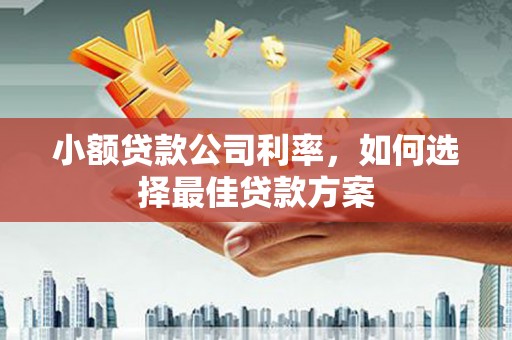 兰州小额贷款公司利率，如何选择最佳贷款方案