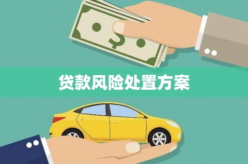 兰州贷款风险处置方案