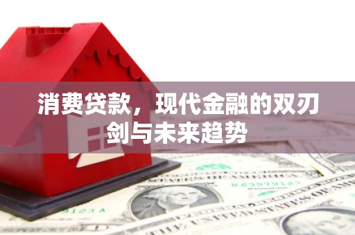 兰州消费贷款，现代金融的双刃剑与未来趋势