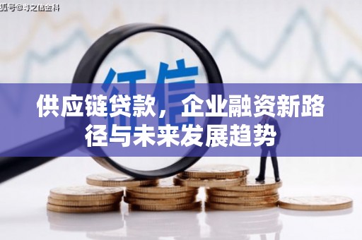 兰州供应链贷款，企业融资新路径与未来发展趋势