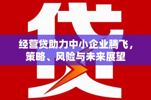 兰州经营贷助力中小企业腾飞，策略、风险与未来展望