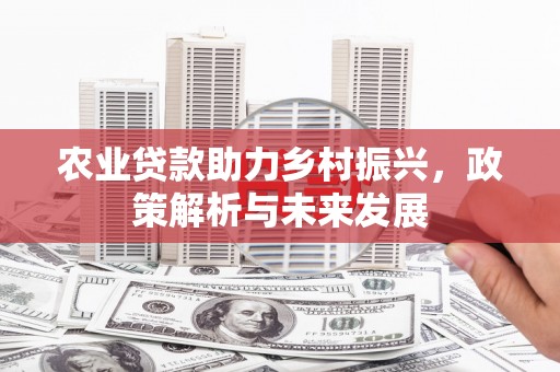 兰州农业贷款助力乡村振兴，政策解析与未来发展