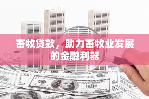 兰州畜牧贷款，助力畜牧业发展的金融利器