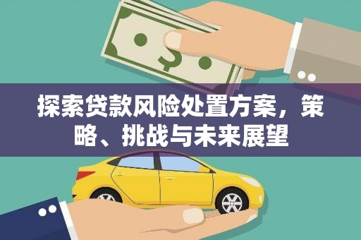 兰州探索贷款风险处置方案，策略、挑战与未来展望