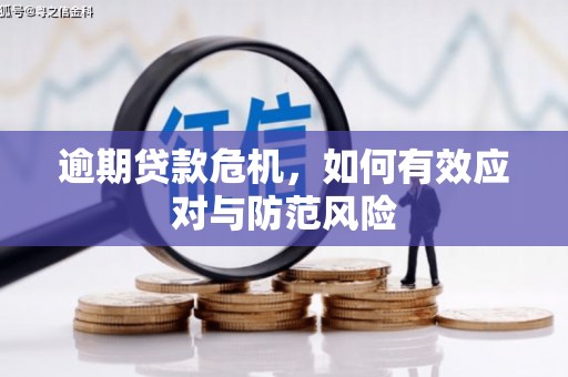 兰州逾期贷款危机，如何有效应对与防范风险