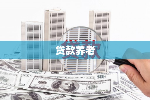 兰州贷款养老