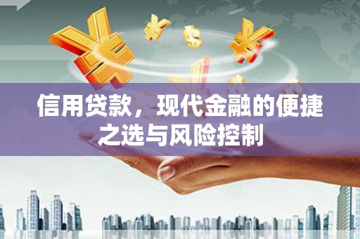 兰州信用贷款，现代金融的便捷之选与风险控制