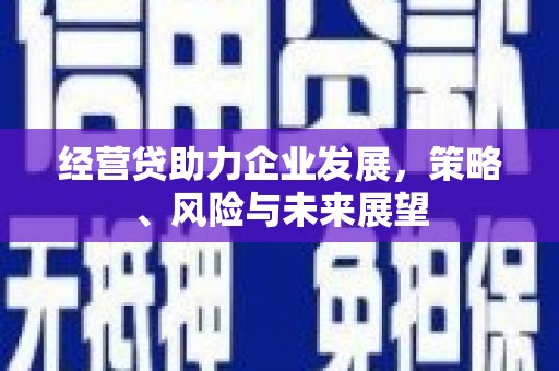 兰州经营贷助力企业发展，策略、风险与未来展望