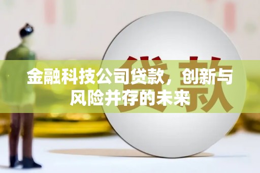 兰州金融科技公司贷款，创新与风险并存的未来