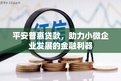 兰州平安普惠贷款，助力小微企业发展的金融利器