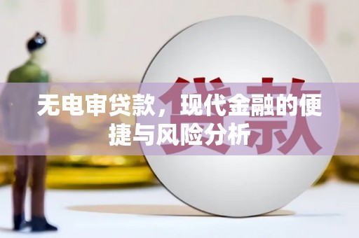 兰州无电审贷款，现代金融的便捷与风险分析