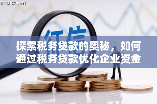 兰州探索税务贷款的奥秘，如何通过税务贷款优化企业资金流