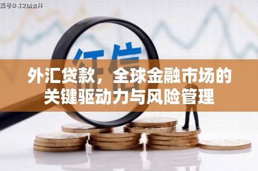 兰州外汇贷款，全球金融市场的关键驱动力与风险管理