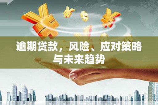 兰州逾期贷款，风险、应对策略与未来趋势