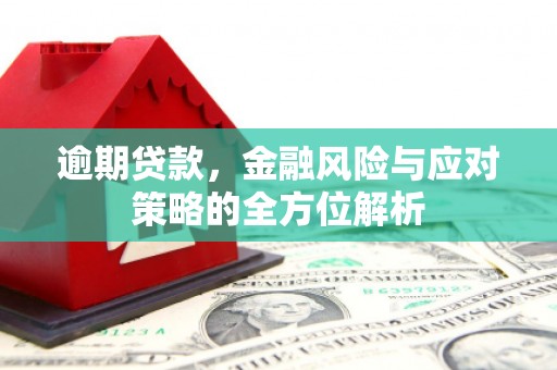 兰州逾期贷款，金融风险与应对策略的全方位解析