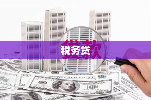 兰州税务贷