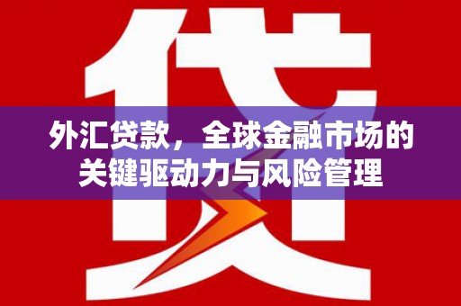 兰州外汇贷款，全球金融市场的关键驱动力与风险管理