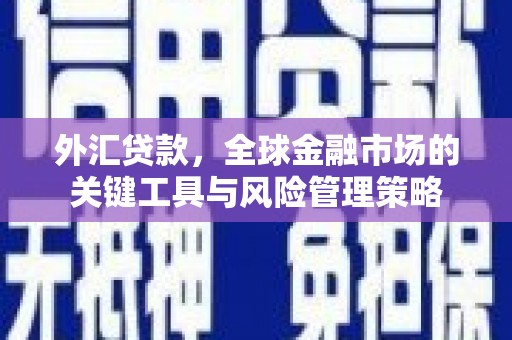 兰州外汇贷款，全球金融市场的关键工具与风险管理策略