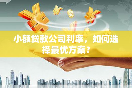 兰州小额贷款公司利率，如何选择最优方案？