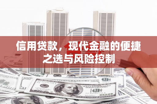 兰州信用贷款，现代金融的便捷之选与风险控制