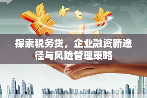 兰州探索税务贷，企业融资新途径与风险管理策略