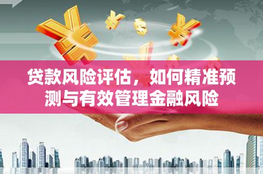 兰州贷款风险评估，如何精准预测与有效管理金融风险