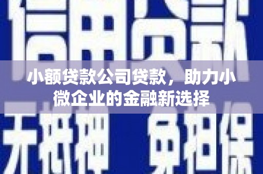 兰州小额贷款公司贷款，助力小微企业的金融新选择
