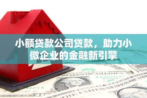 兰州小额贷款公司贷款，助力小微企业的金融新引擎