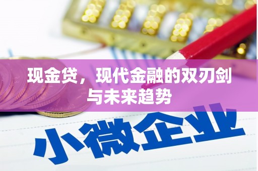 兰州现金贷，现代金融的双刃剑与未来趋势