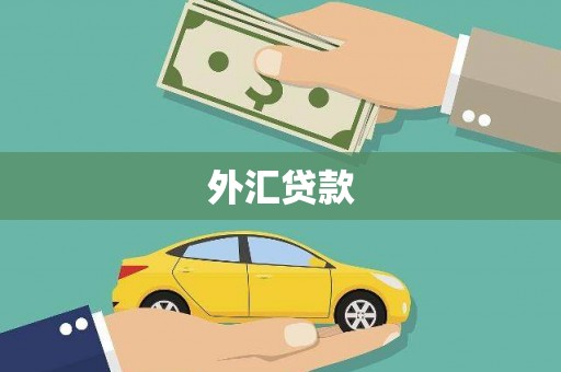 兰州外汇贷款