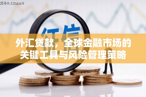 兰州外汇贷款，全球金融市场的关键工具与风险管理策略