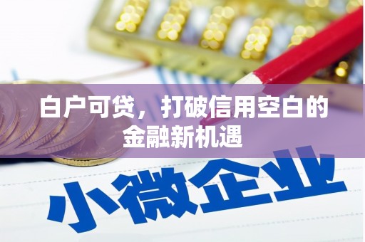兰州白户可贷，打破信用空白的金融新机遇