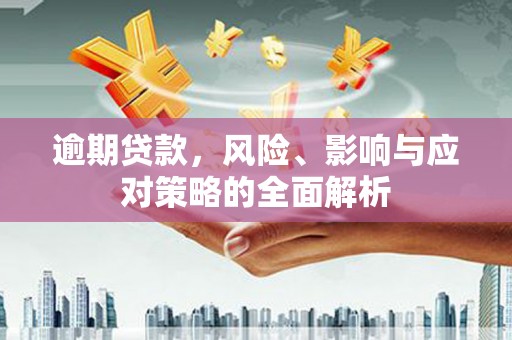 兰州逾期贷款，风险、影响与应对策略的全面解析