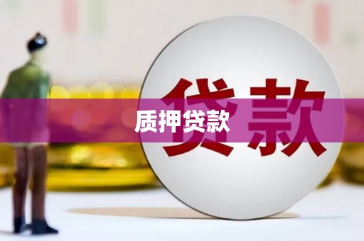 兰州质押贷款