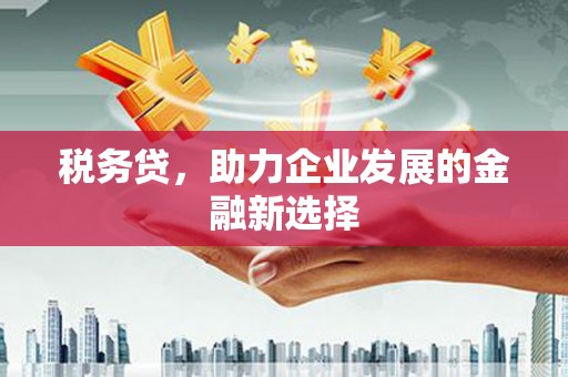 兰州税务贷，助力企业发展的金融新选择