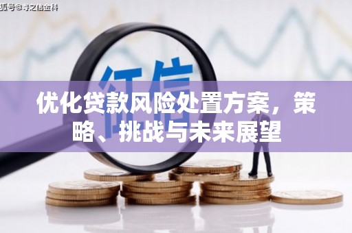 兰州优化贷款风险处置方案，策略、挑战与未来展望