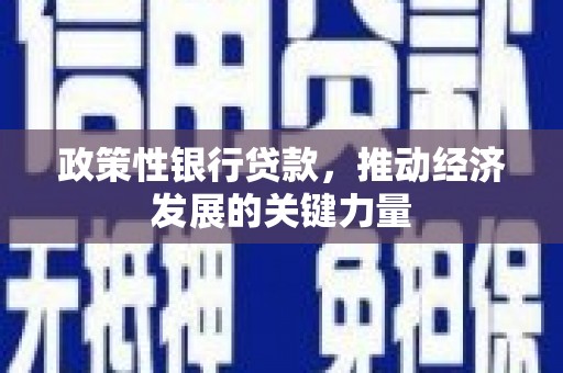 兰州政策性银行贷款，推动经济发展的关键力量